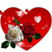 Gif animé coeur et roses